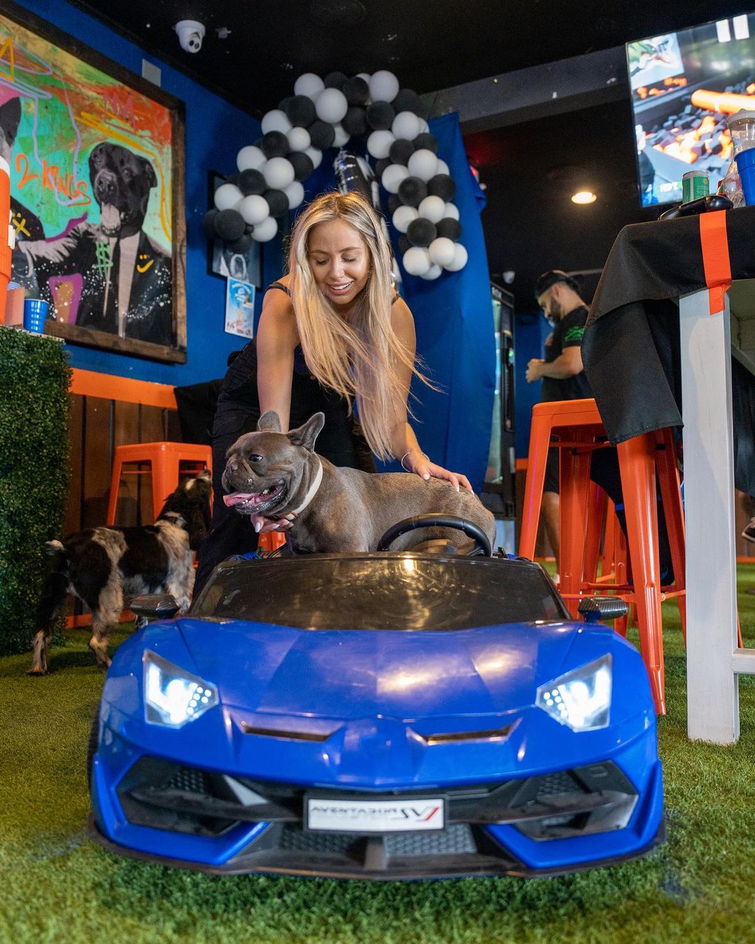 Dog on a blue toy car and owner