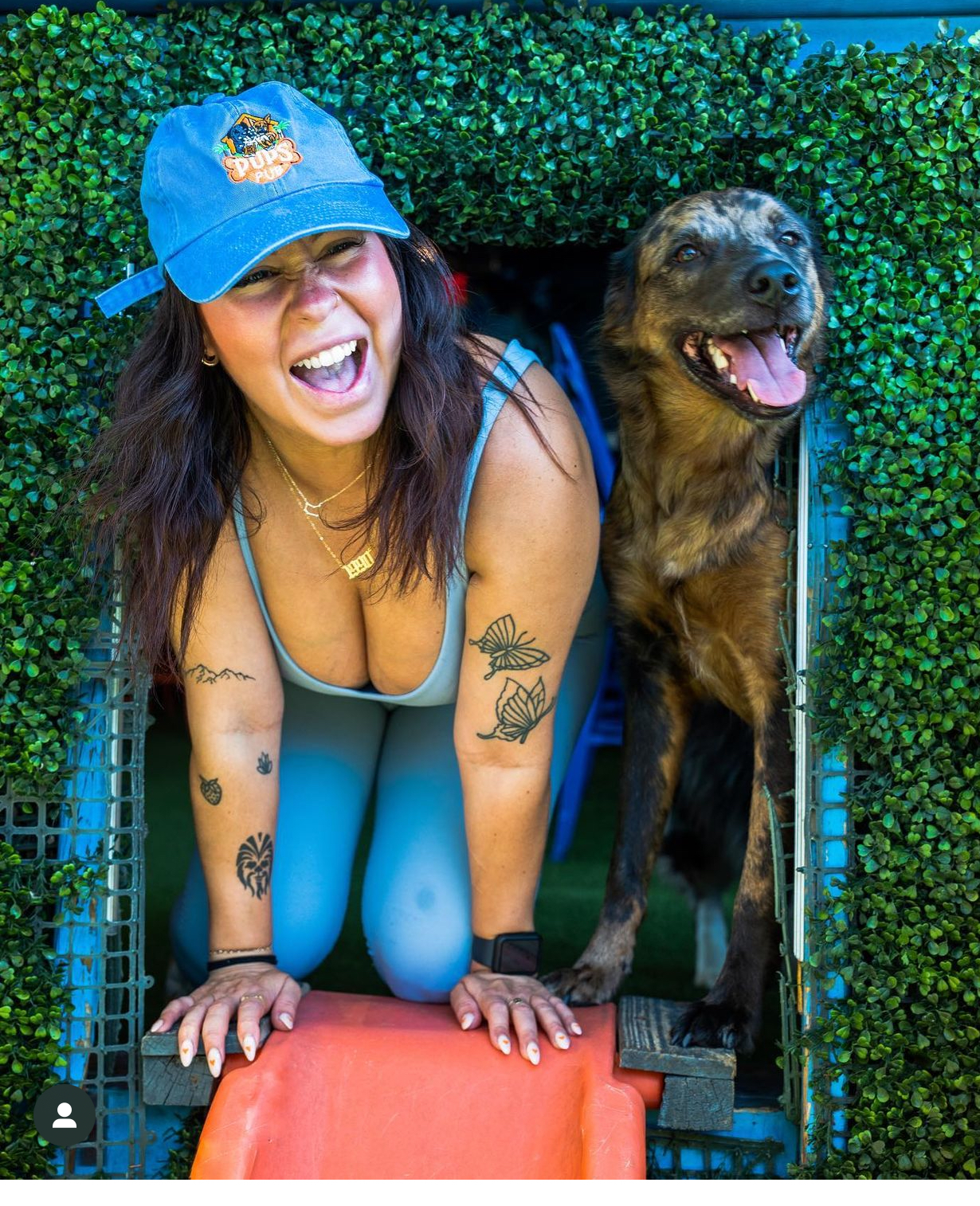 Frenchie enjoying pupcake