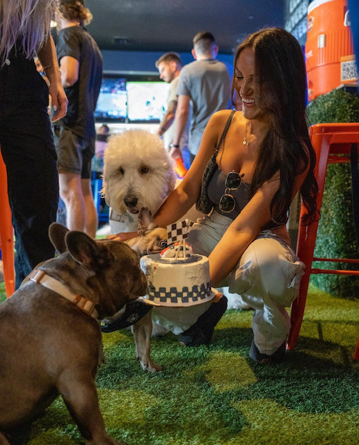 Two pups running wild